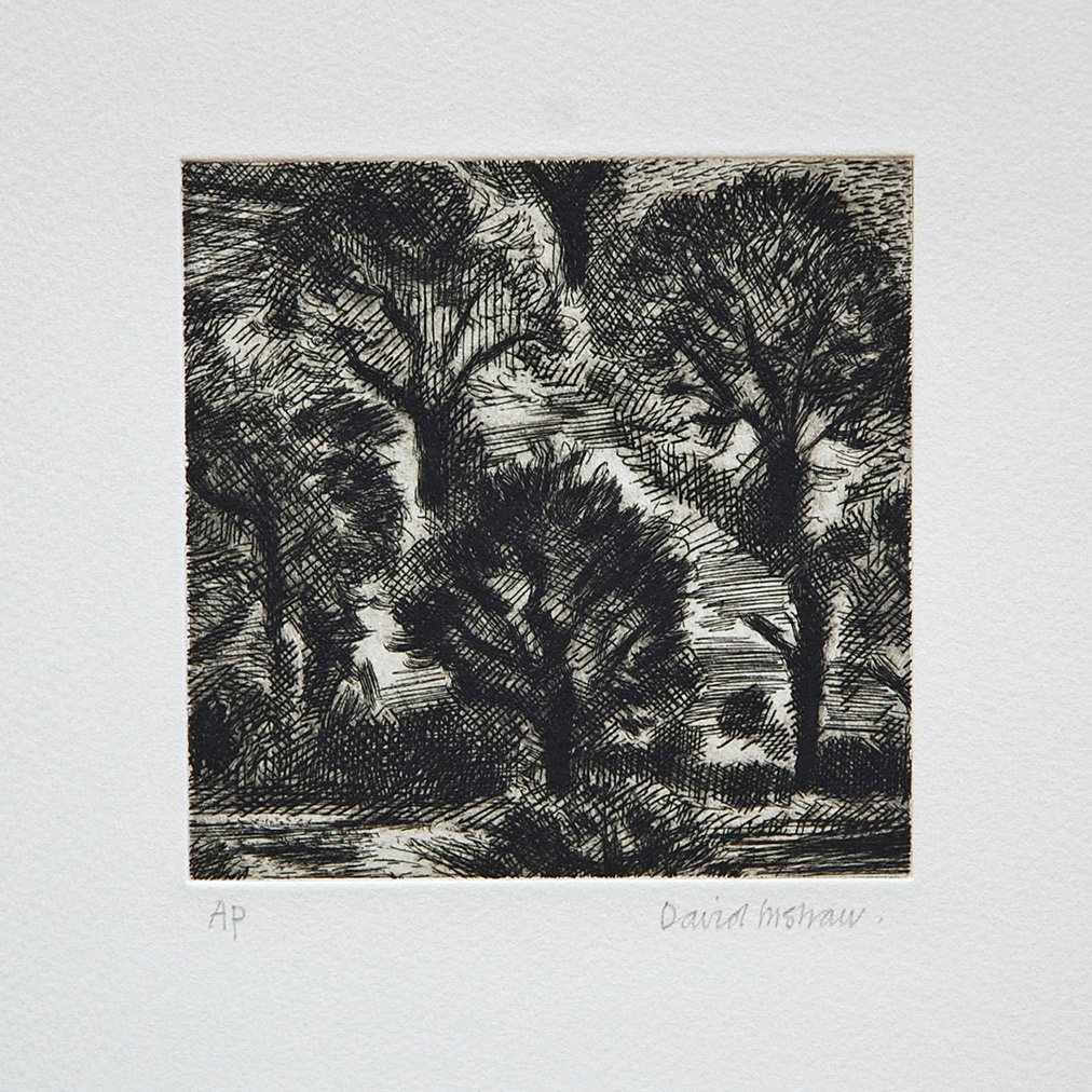 David-Inshaw-Wood-etching