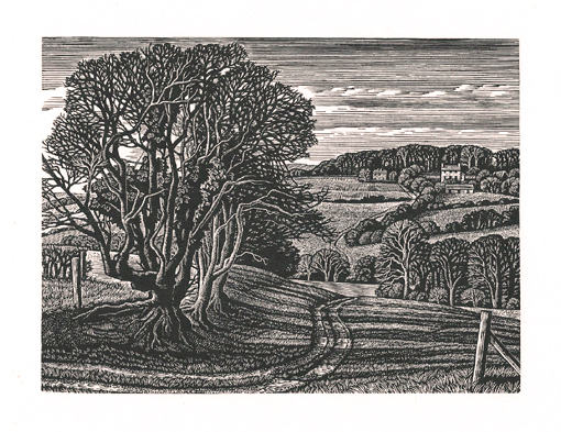 Chilcombe 2 wood engraving 4.5 x 6 inches £235 unframed