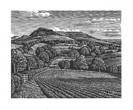 Eggardon Hill woodcut print 4 x 5 inches £195 unframed