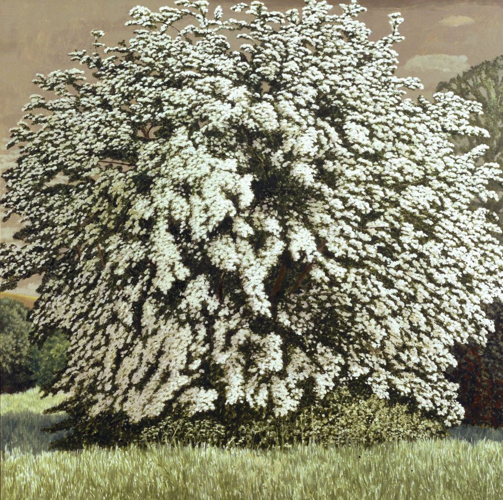 David Inshaw May Tree