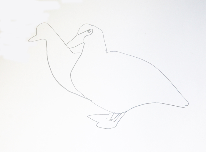 2. Muscovy Duck 1988 pencil on paper 1980-48 29.5 x 41cm SOLD