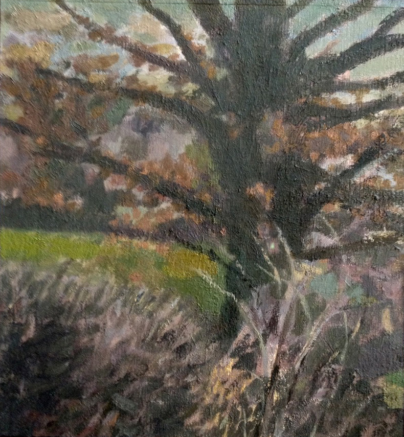 david-inshaw-tree-1996-oil-on-canvas-26.5x24cm