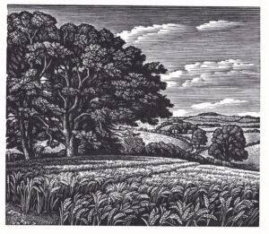 Howard Phipps Clearbury Ring from Tower House meadow​