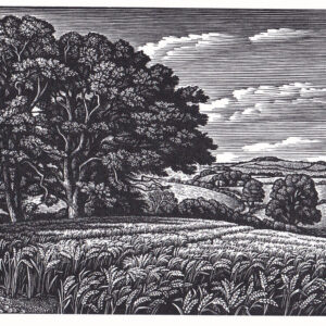Howard Phipps Clearbury Ring from Tower House meadow