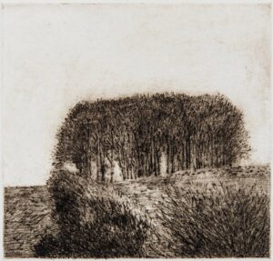 David Inshaw Clump (Bridehead)