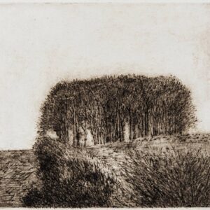 David Inshaw Clump (Bridehead)