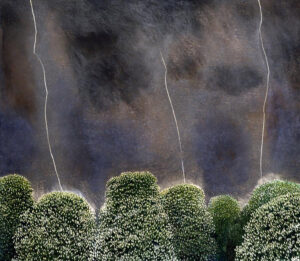 David Inshaw Lightning and Chestnut Trees