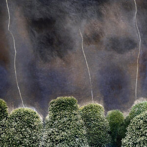 David Inshaw Lightning and Chestnut Trees
