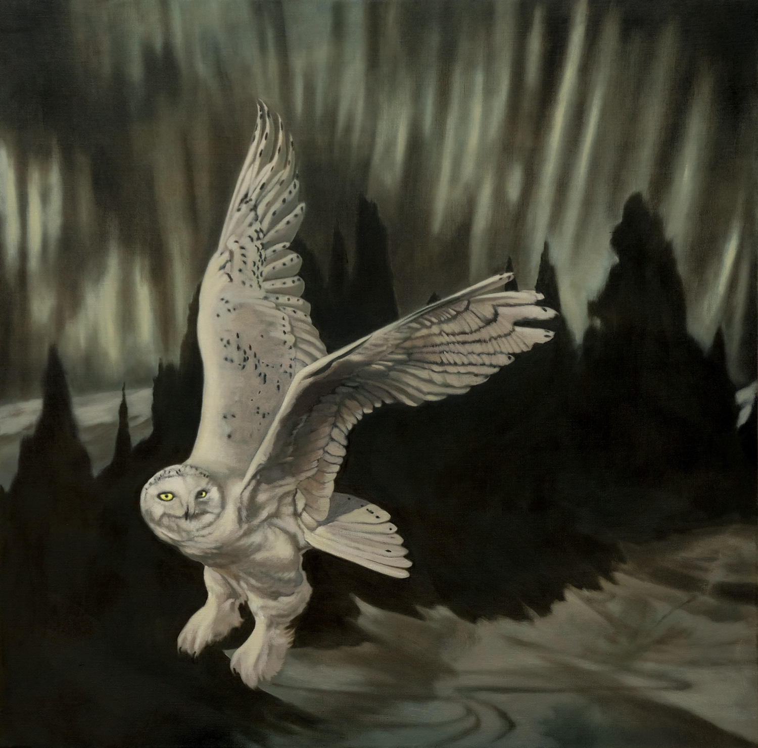 Finn Campbell Notman The Spirit of the North. Snowy Owl with Aurora Borealis