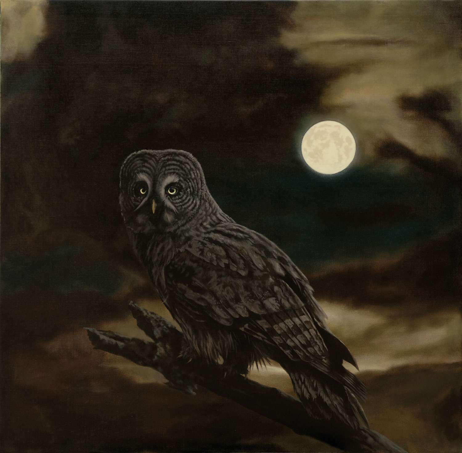 Finn Campbell Notman The Ghost of the North. Great Grey Owl at full moon