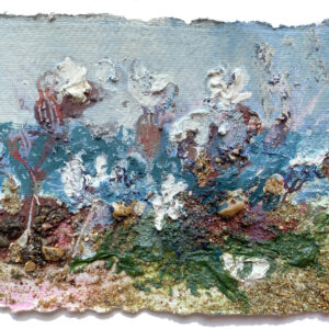 Frances Hatch Bladder Campion Blooms