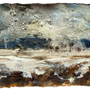 Frances Hatch Sighting the First Tern. Portland Harbour