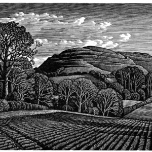 Howard Phipps Hambledon Hill