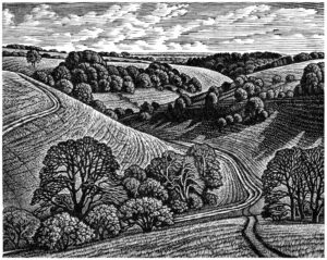 Howard Phipps Chalk Paths