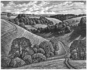 Howard Phipps Chalk Paths, Malacombe Bottom