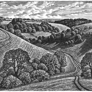 Howard Phipps Chalk Paths, Malacombe Bottom