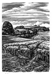 Howard Phipps Coombe Bissett Down