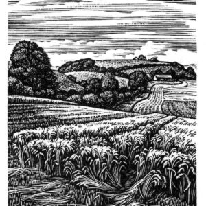 Howard Phipps Coombe Bissett Down