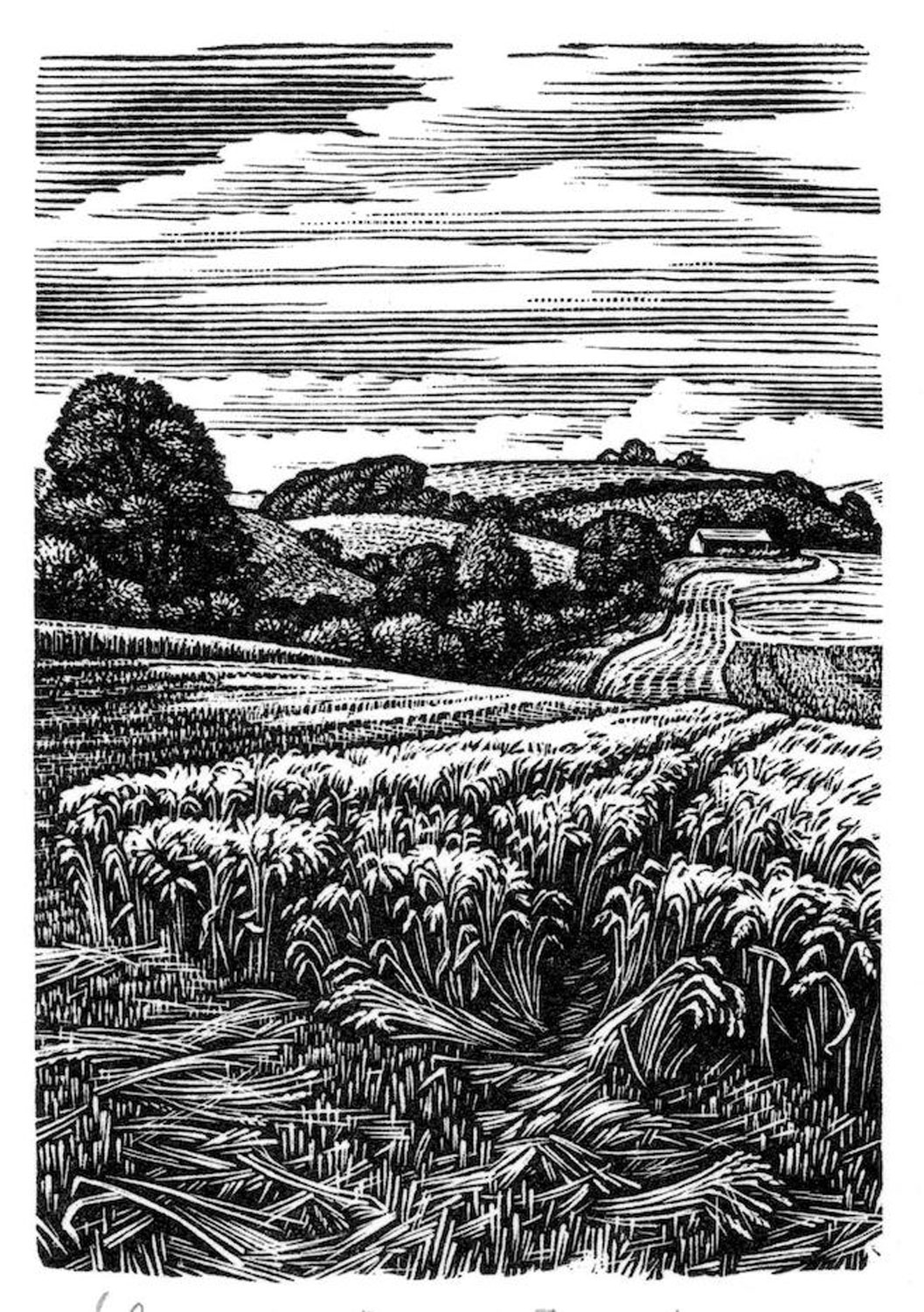 Howard-Phipps-Coombe-Bissett-down