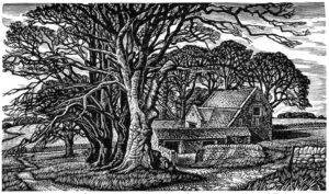 Howard Phipps Field Barn in Winter