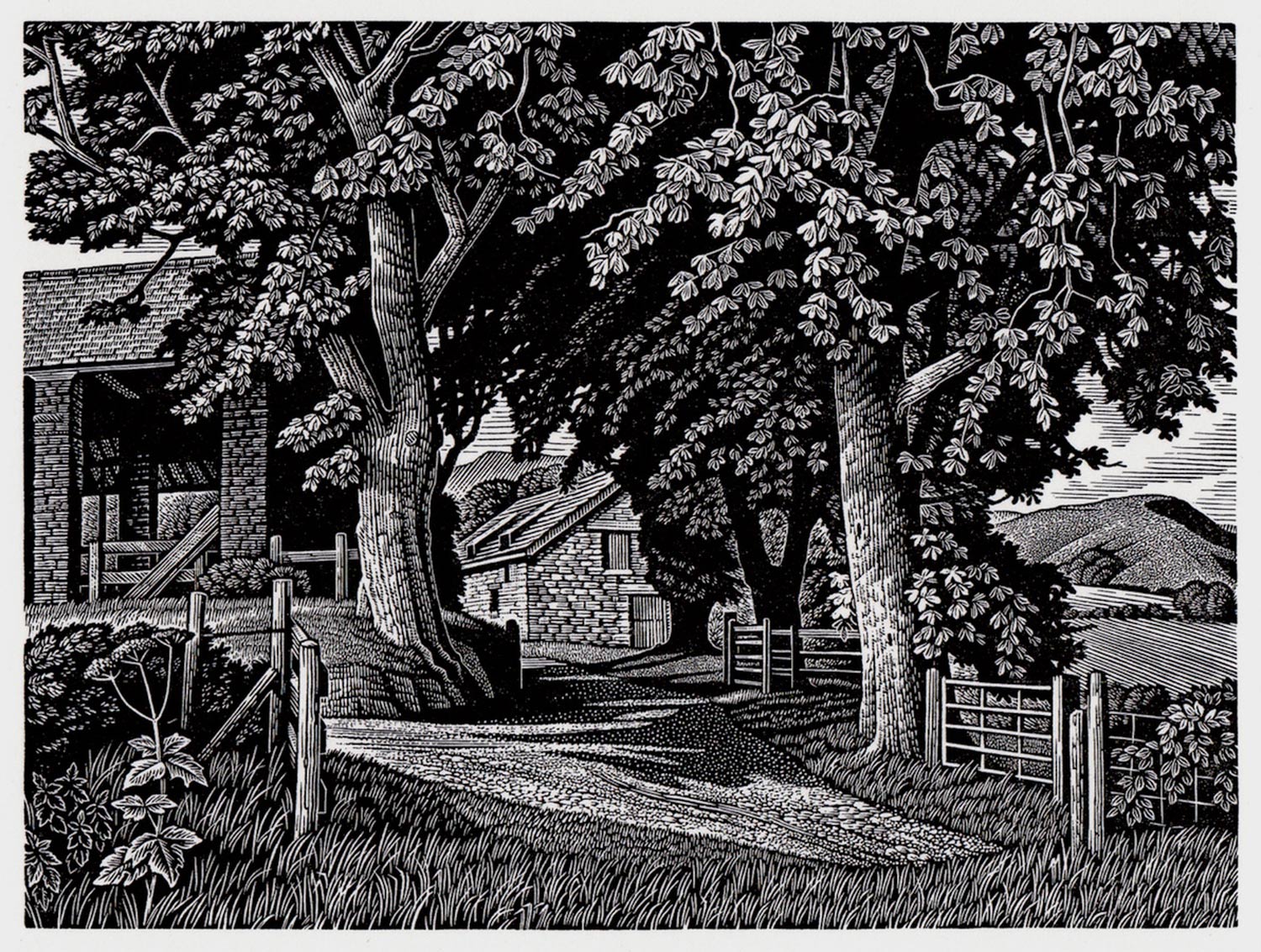 Howard-Phipps-Hill-Farm-Wales