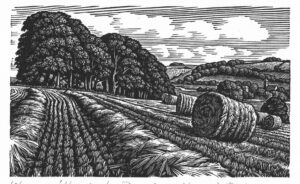 Howard Phipps Homington Down