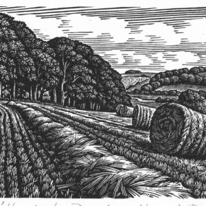 Howard Phipps Homington Down