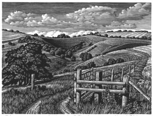Howard Phipps Malacombe Bottom