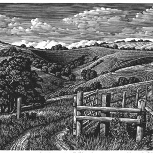 Howard Phipps Malacombe Bottom