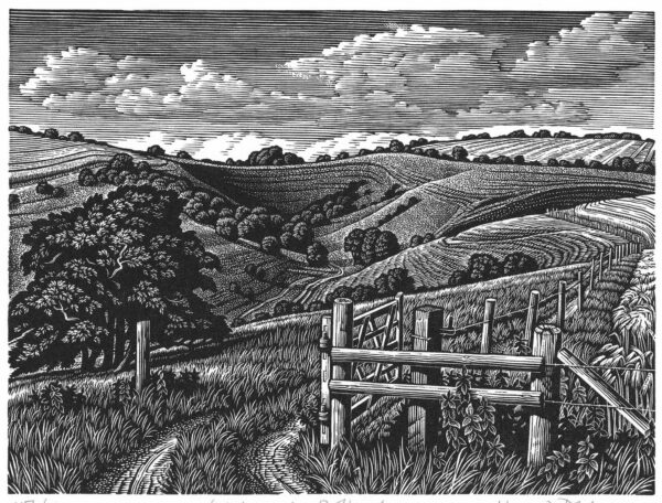 Howard Phipps Malacombe Bottom