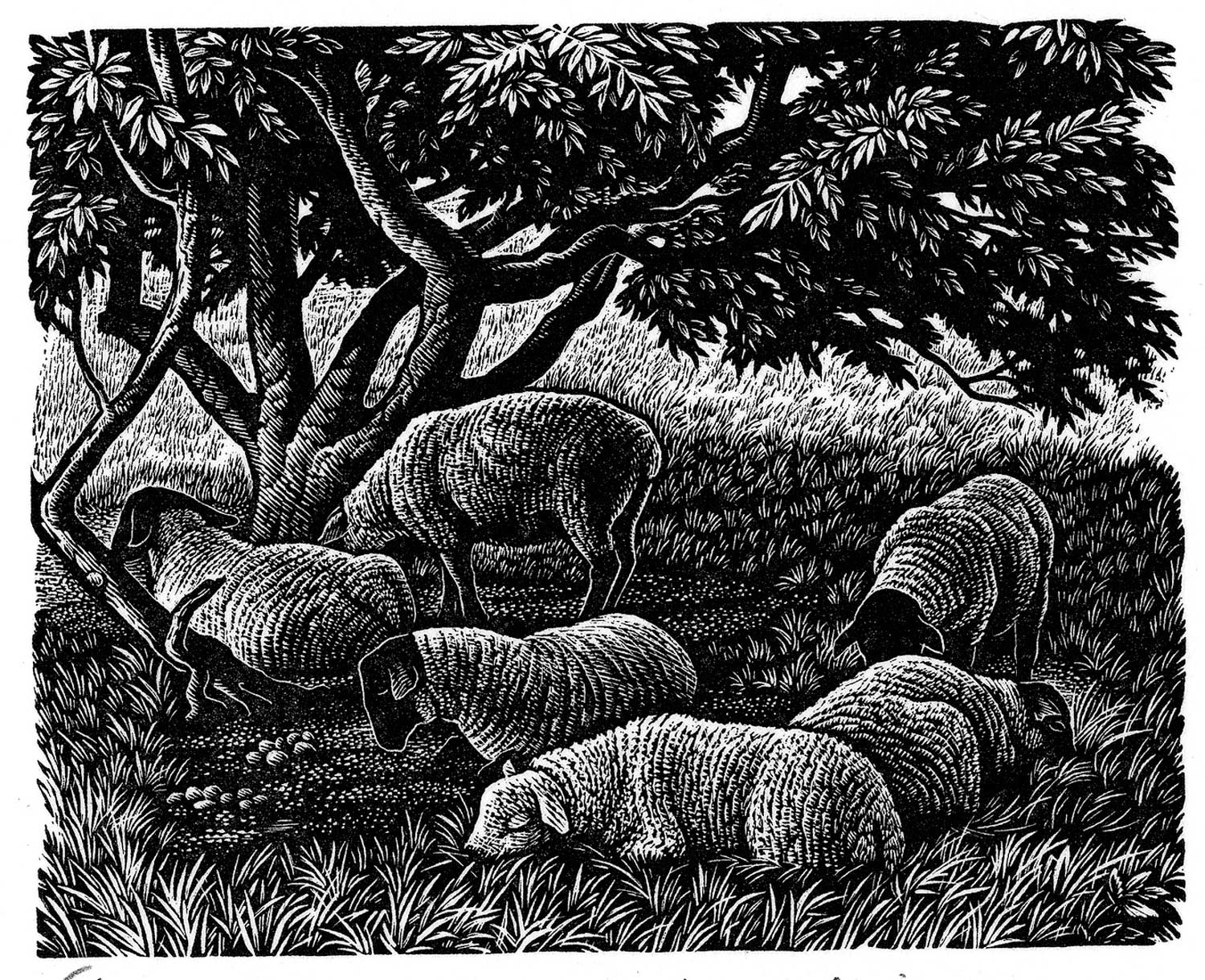 Howard-Phipps-Noonday-Shade