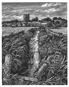 Howard Phipps Orford Meadows