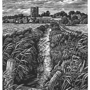 Howard Phipps Orford Meadows