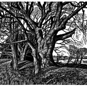 Howard Phipps Ox Drove in Winter