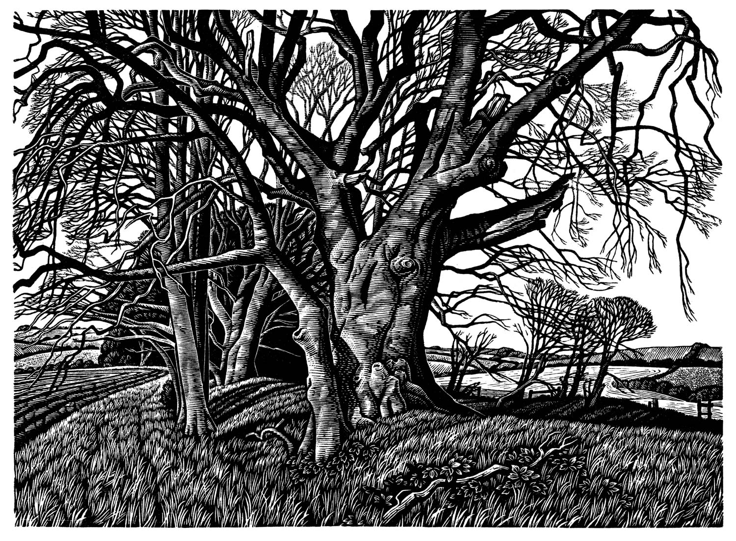 Howard-Phipps-Ox-Drove-in-Winter-Tiff-400-dpi