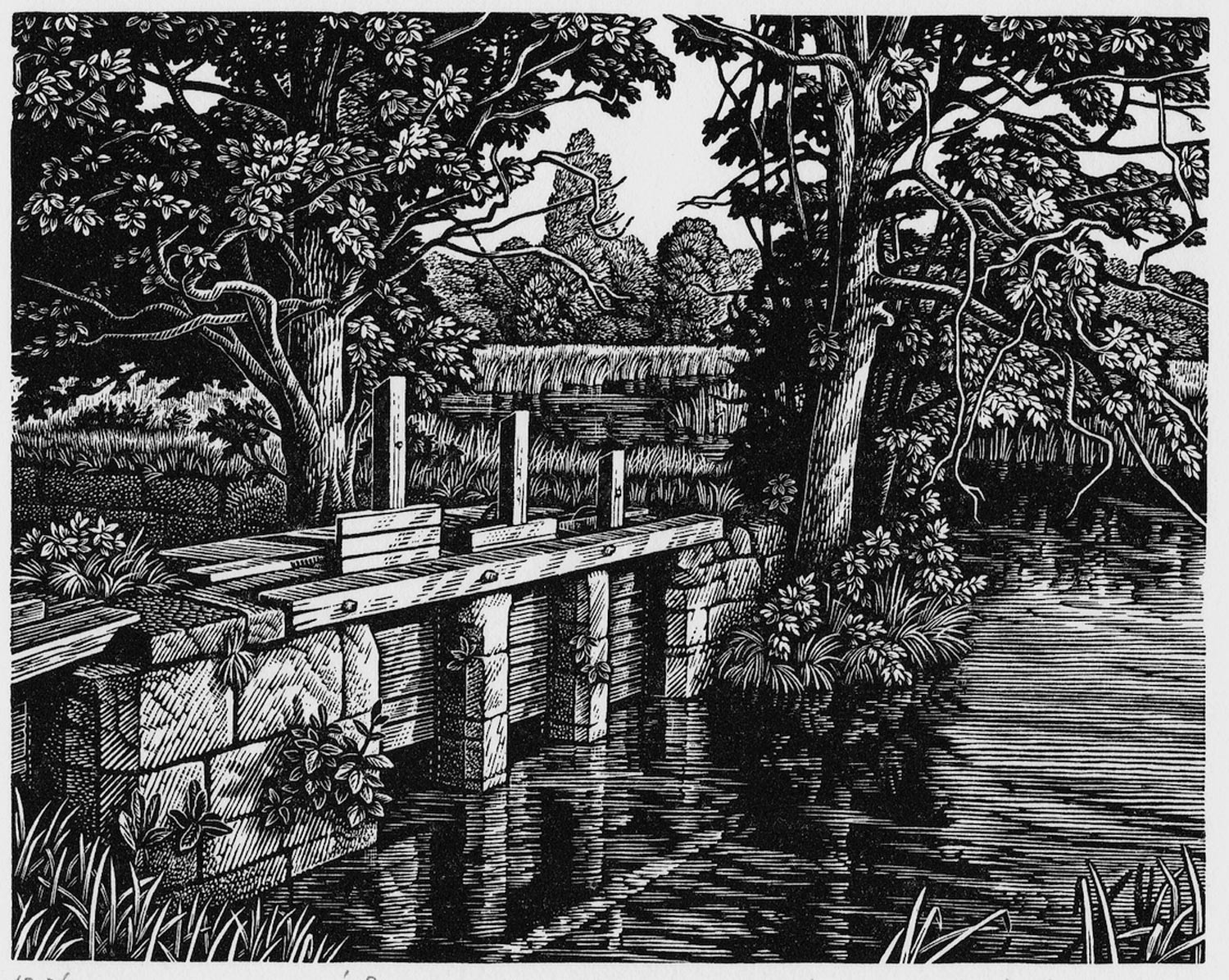 Howard-Phipps-Salisbury-Water-meadows