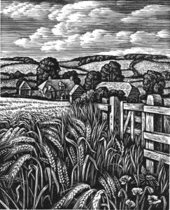 Howard Phipps Summer Fields, The Ebble Valley