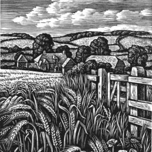 Howard Phipps Summer Fields, The Ebble Valley