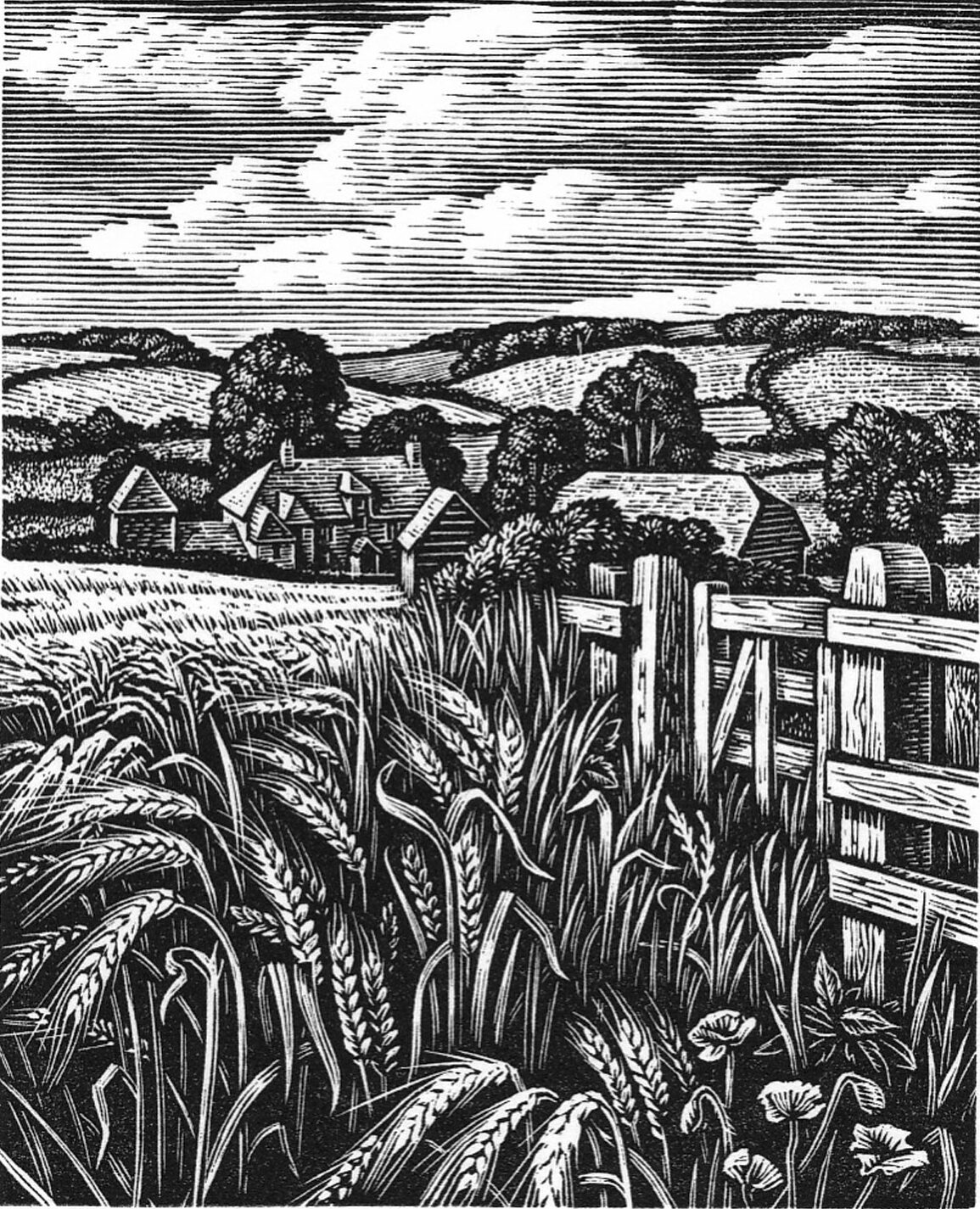 Howard-Phipps-Summer-Fields-Ebble-Valley