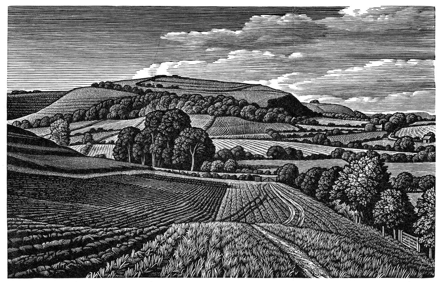Howard-Phipps-Winkelbury-Hill-fort