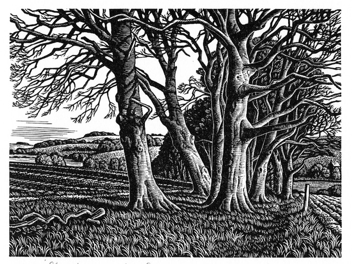 Howard-Phipps.-Clearbury-Ring-from-Homington-Down