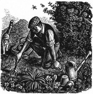 Howard Phipps Jobbing Gardener