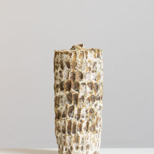 Lise Herud Braten 102. Bottle Form