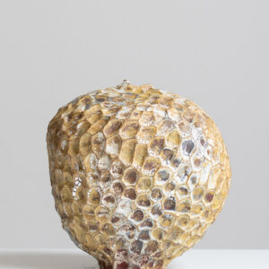 Lise Herud Braten 82. Organic vase