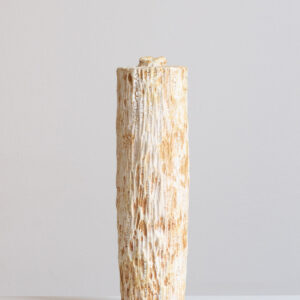 Lise Herud Braten 95. Bottle Form