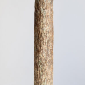 Lise Herud Braten 98. Bottle Form