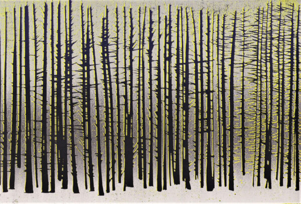 Merlyn Chesterman Clattering pines