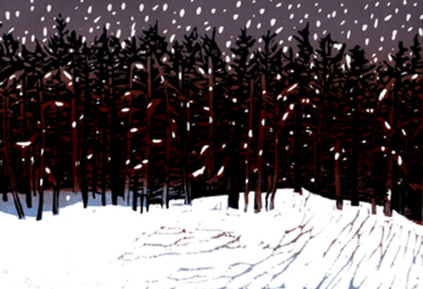 Merlyn Chesterman Forest