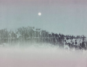 Nicholas Jones Forest Dreams
