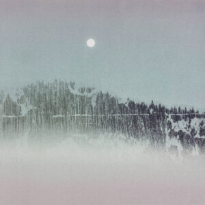 Nicholas Jones Forest Dreams
